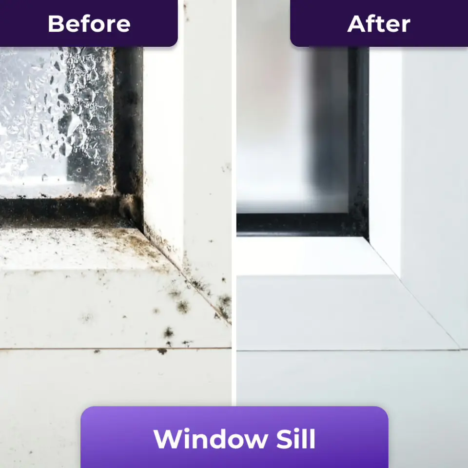 NuroClean reviews Jamie R.